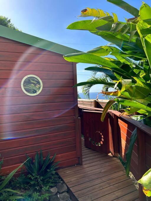 Bungalow, Gite Les Fleurs Du Colibri Bouillante Extérieur photo